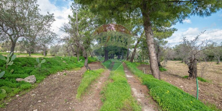 2025012281633-921273-1