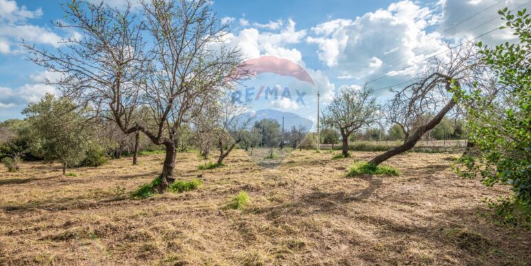 2025012281636-921273-2