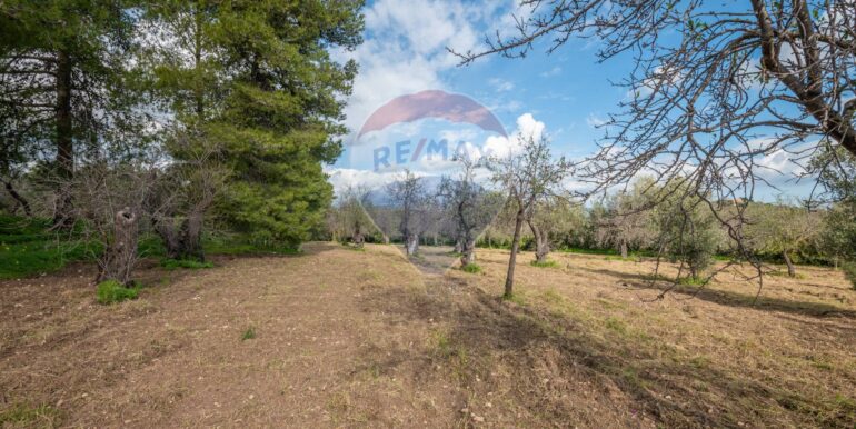 2025012281639-921273-3