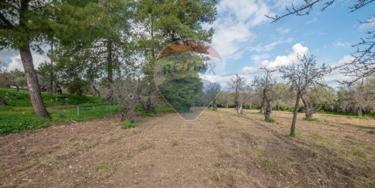 2025012281642-921273-4