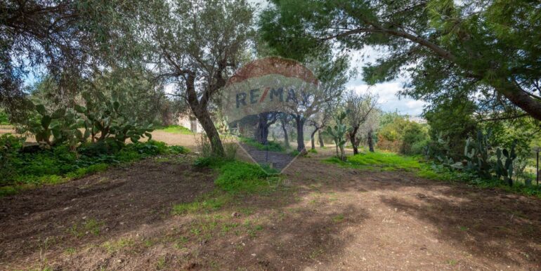 2025012281645-921273-5