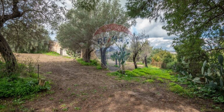 2025012281648-921273-6