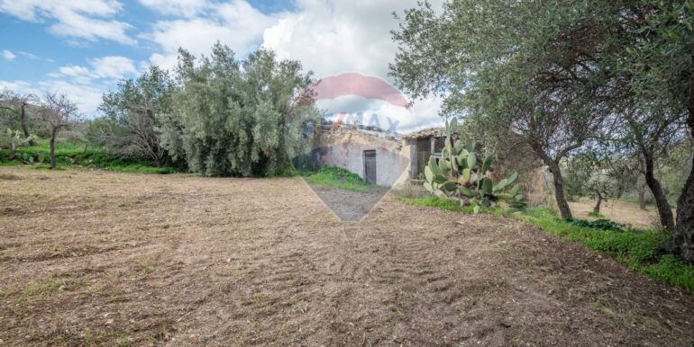 2025012281652-921273-7