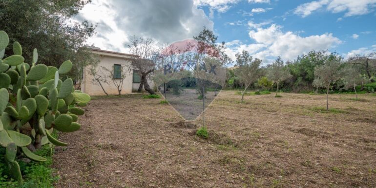 2025012281655-921273-8