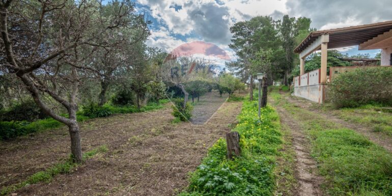 2025012281658-921273-9