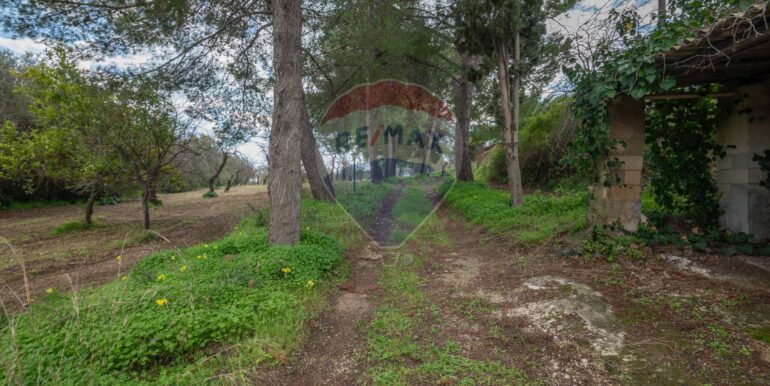 2025012281706-921273-12