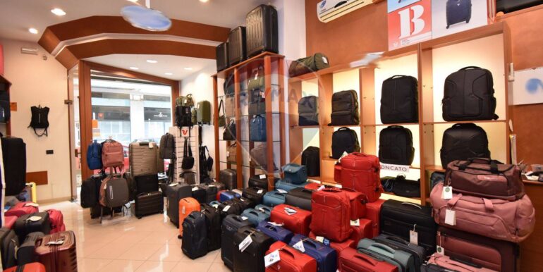 2025012281753-921274-5