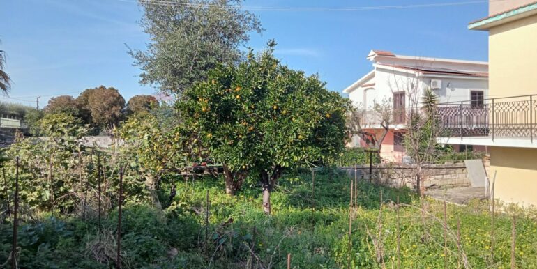 20250123111408-920004-13