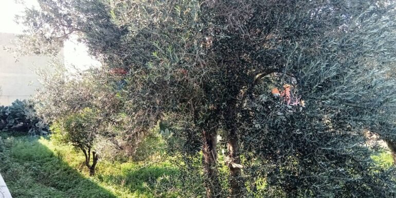 20250123111417-920004-17