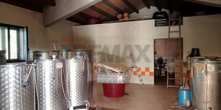 20250123111424-920004-19