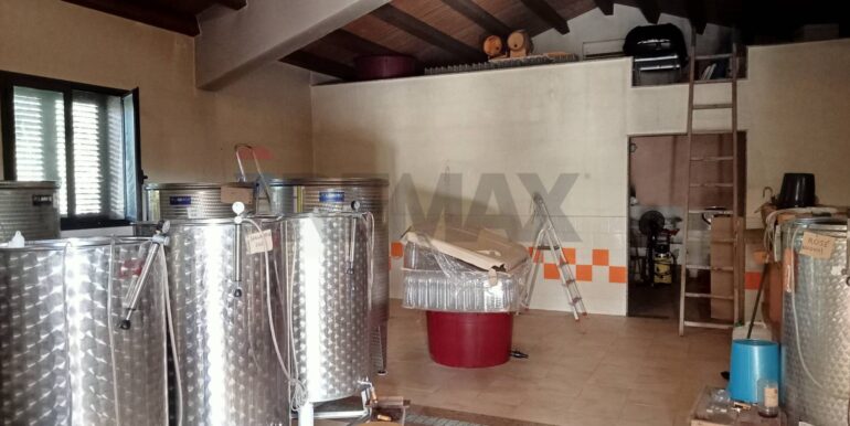 20250123111426-920004-20