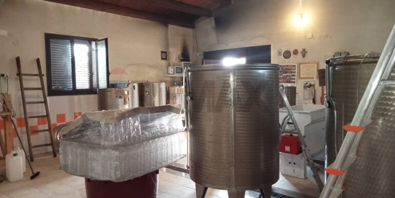 20250123111429-920004-22