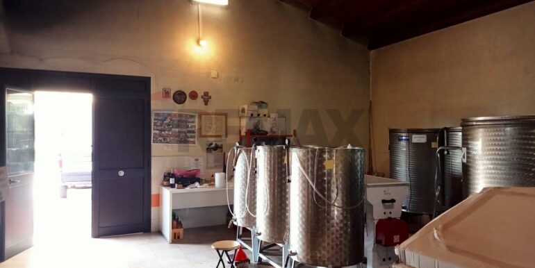 20250123111432-920004-23