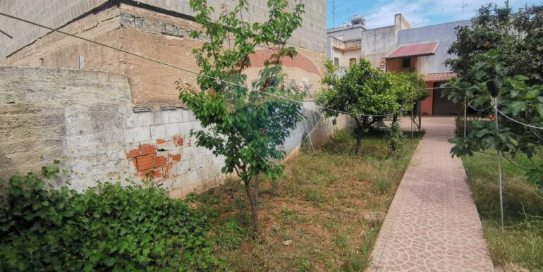 20250123121707-921772-1