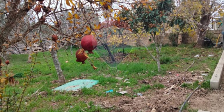 20250123161558-921820-6