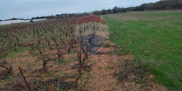 20250123161558-921820-8