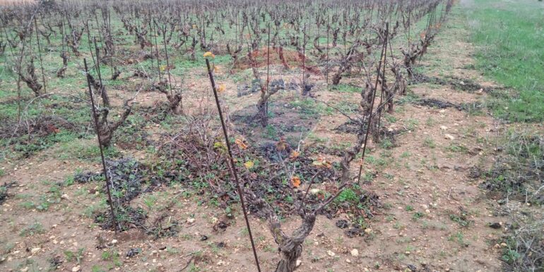 20250123161558-921820-9