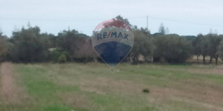 20250123161559-921820-10