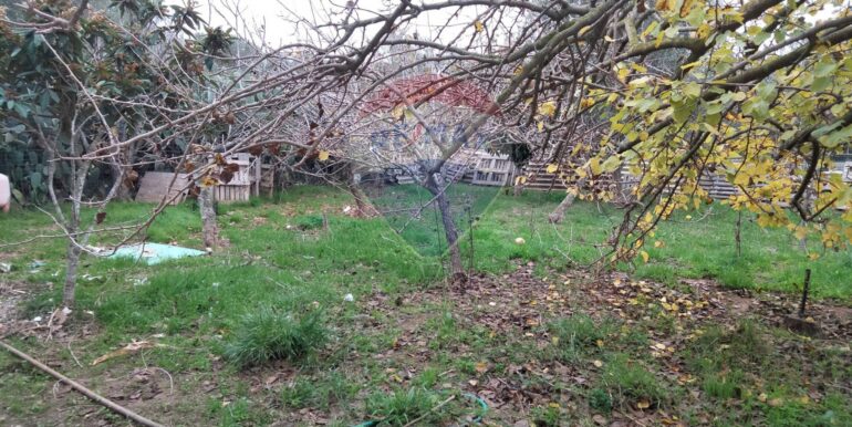 20250123161559-921820-11