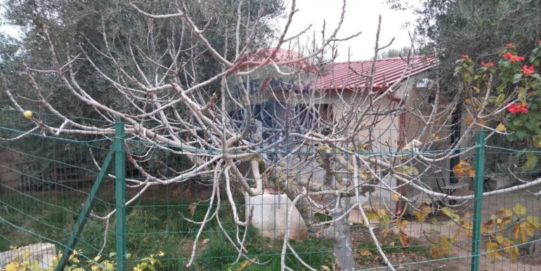 20250123161600-921820-13