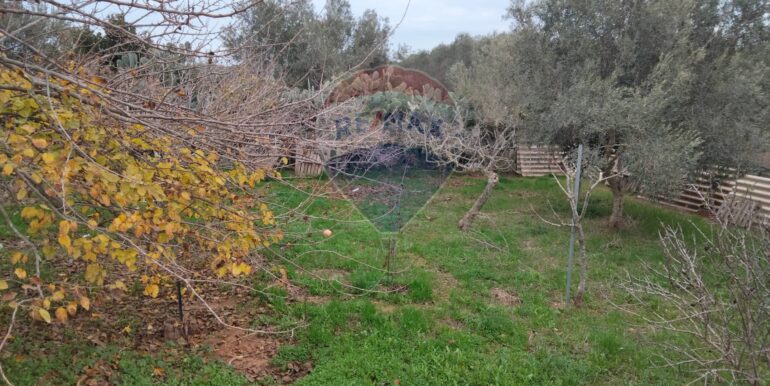 20250123161600-921820-14