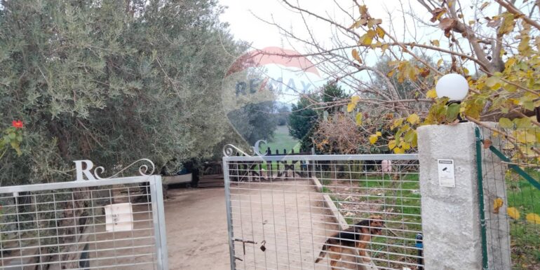 20250123161600-921820-15