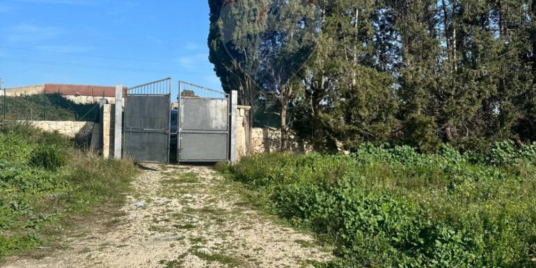 2025012993107-908177-2