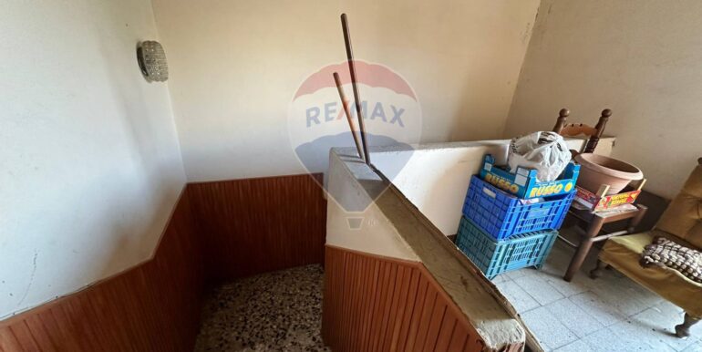 20250130185552-923961-12