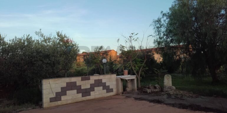 20250131190207-924226-1