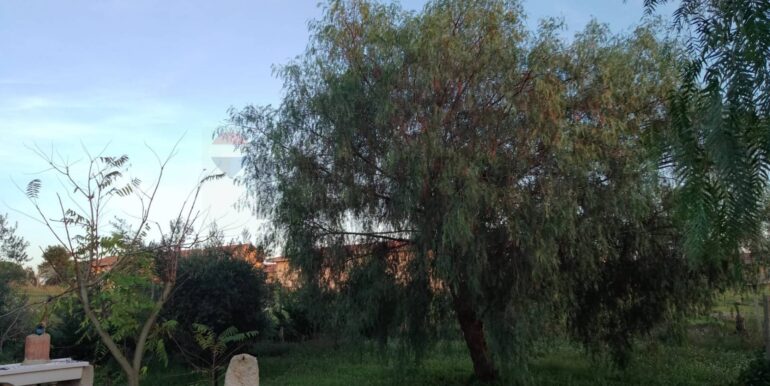 20250131190209-924226-2