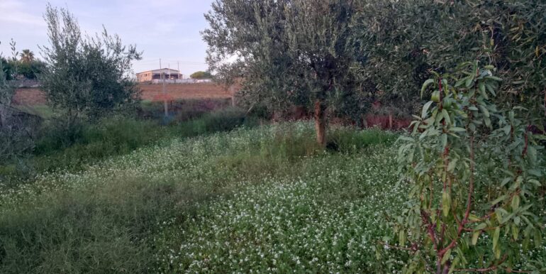 20250131190211-924226-3