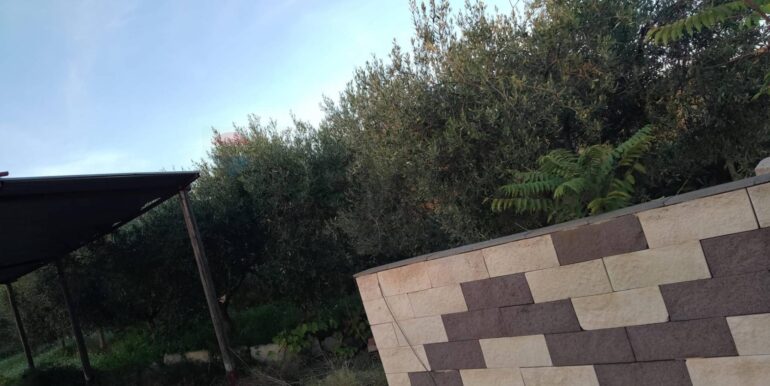 20250131190214-924226-4