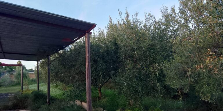 20250131190216-924226-5