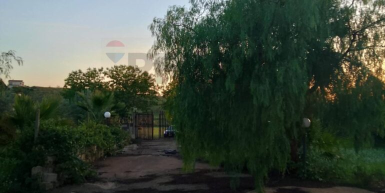 20250131190218-924226-6