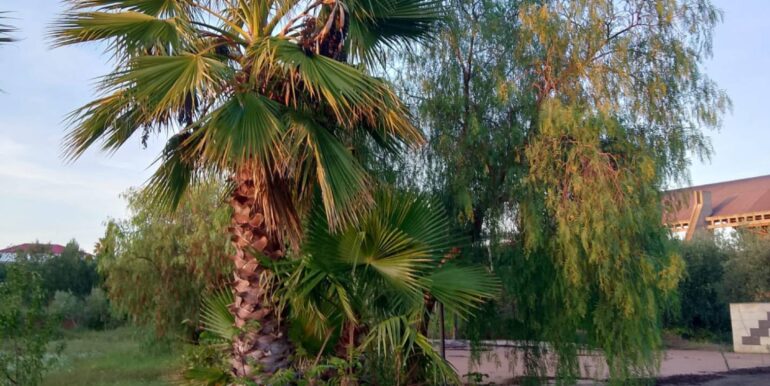 20250131190220-924226-7