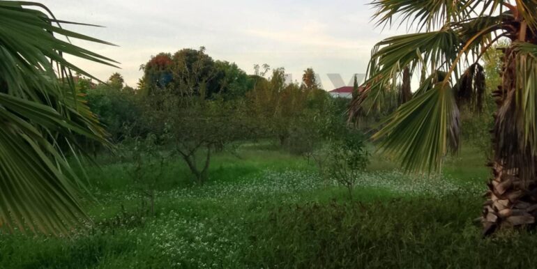 20250131190222-924226-8