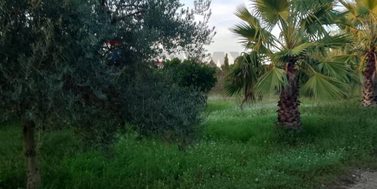 20250131190224-924226-9