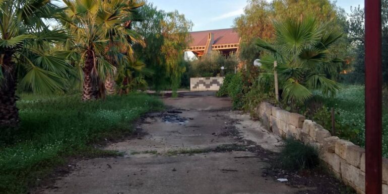 20250131190226-924226-10