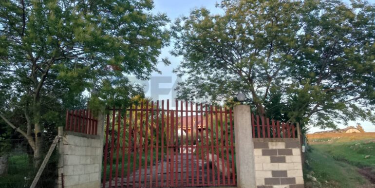 20250131190228-924226-11