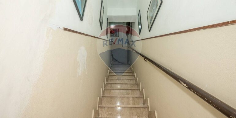 20250205103357-921214-4