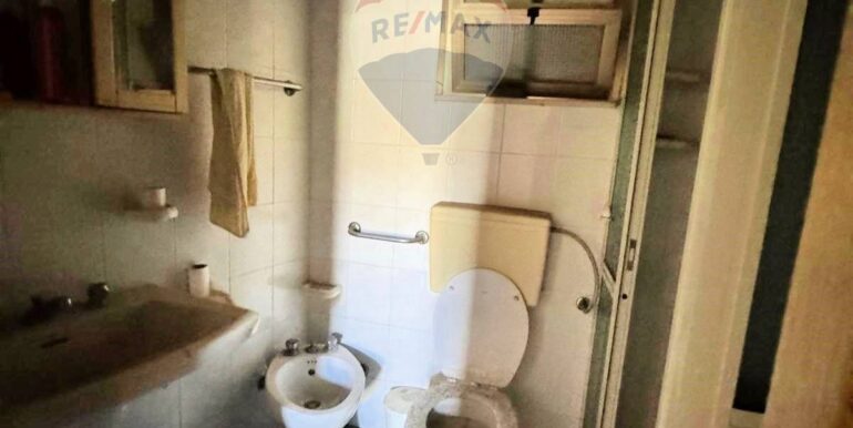 20250210124631-924103-3