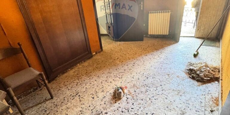 20250210124908-924103-15