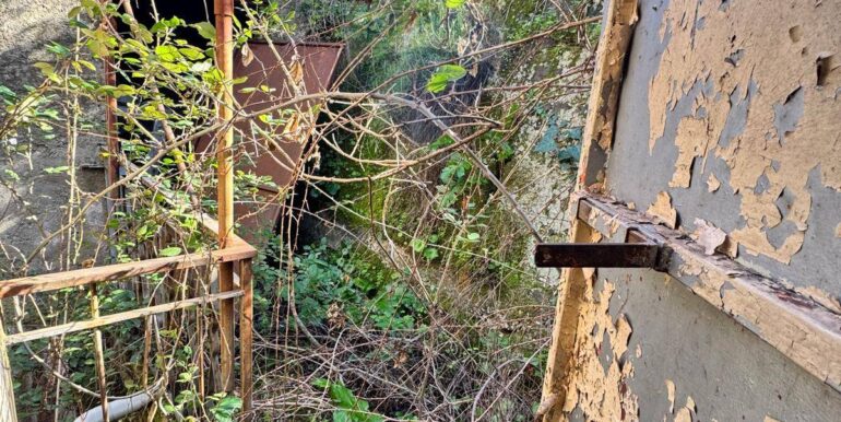 20250210124910-924103-16