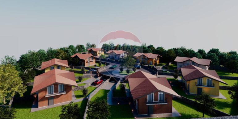 20250212125002-919296-79