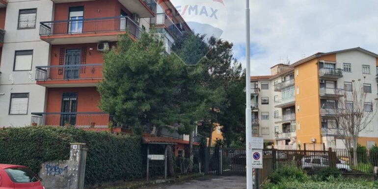 20250213123629-929266-2