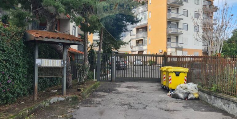 20250213123631-929266-3