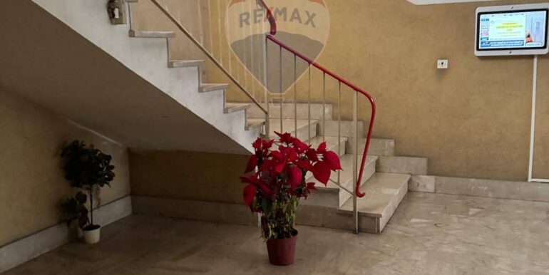 20250213123820-929255-6