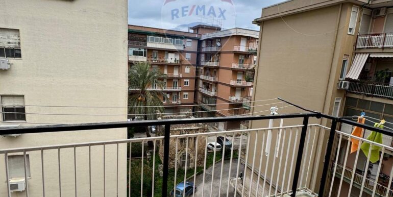 20250213123826-929255-11