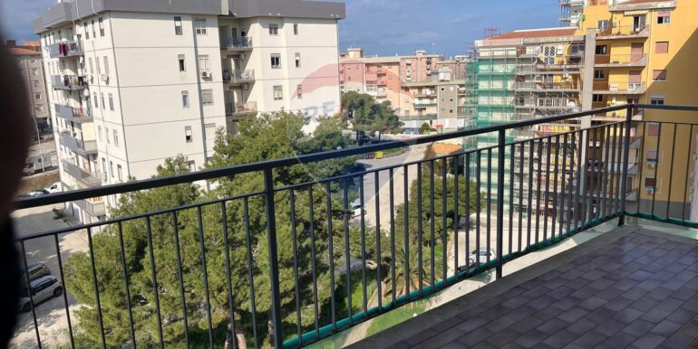 20250213124955-923847-4