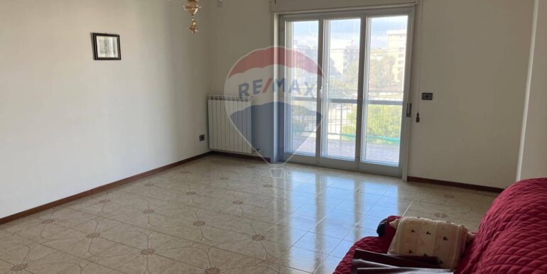 20250213125000-923847-7